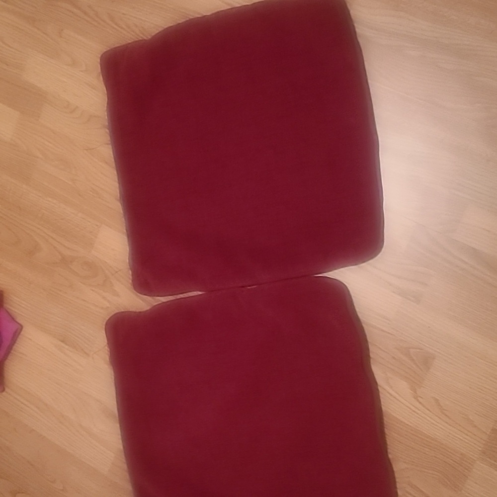 Couch Pillow Covers (2)